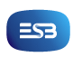 ESB Smart Energy Services