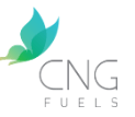 CNG Fuels Ltd