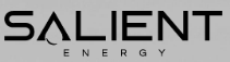 Salient Energy