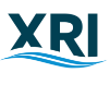 XRI Holdings