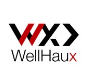 WellHaux Analytics, LLC