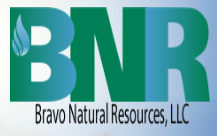 Bravo Natural Resources, LLC