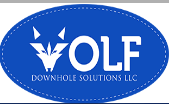 Wolf Downhole Solutions LLC