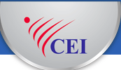 CEI NI Ltd