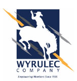 Wyrulec Company