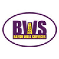 Bayou Well Services 
