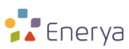 Enerya Konya Gas Distribution Inc.