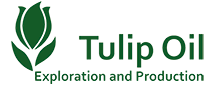 Tulip Oil
