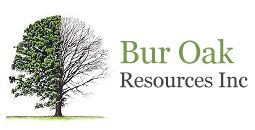 Bur Oak Resources Inc.