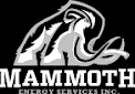 Mammoth Energy Services, Inc