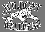 Wildcat Wellhead Services, LLC