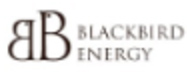 Blackbird Energy Inc.