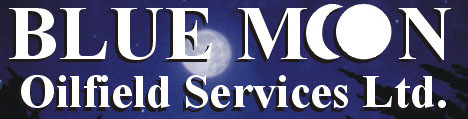 Blue Moon Oilfield Services Ltd