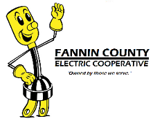 Fannin County Electric Co