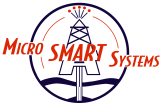 Micro-Smart Systems